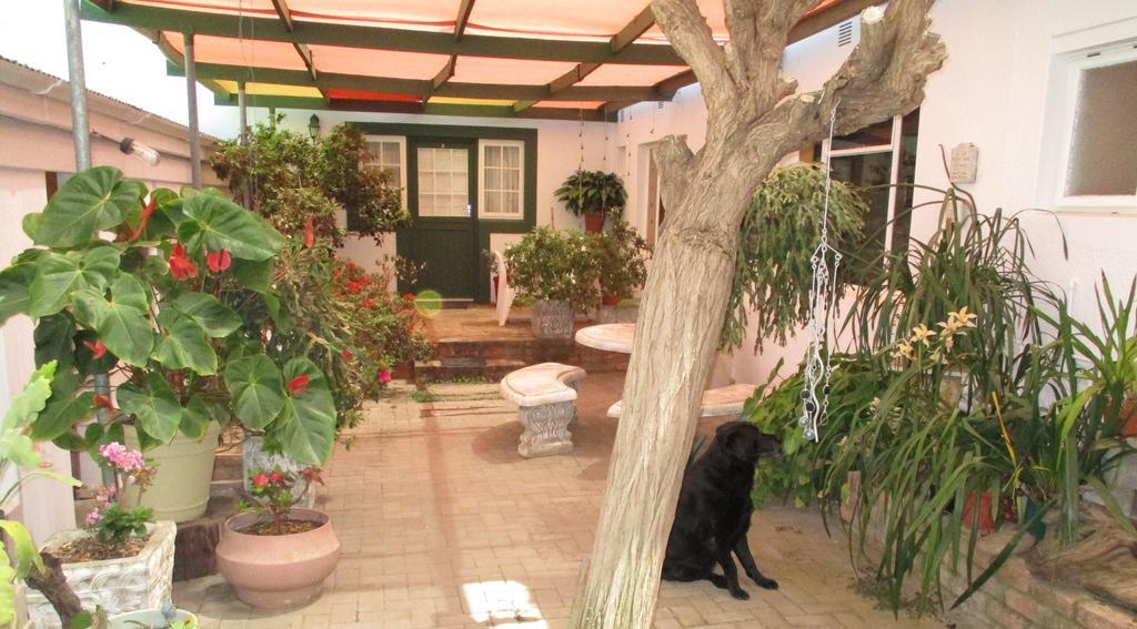 Van Rhyn Guest House Vanrhynsdorp Экстерьер фото
